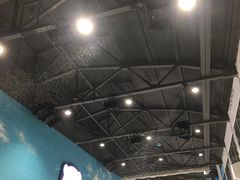 -Mr·Kuma酷么先生雪之乐园