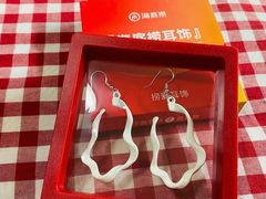 -海底捞火锅(公益西桥店)