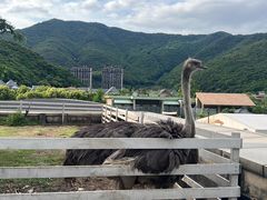 -宁波九龙湖开元度假村