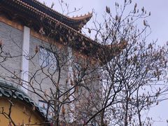 -龙游石窟