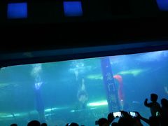 -洛阳龙门海洋馆