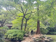 -山外山菜馆(玉泉路店)