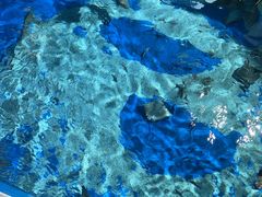 -南昌融创海世界
