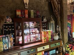 -雪灵魔法世界SHELLY’S TAROT(大良桂畔里店)