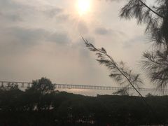 -宝安西湾红树林湿地公园