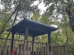 -句容茅山景区