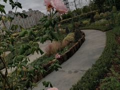 -金银湖国家城市湿地公园