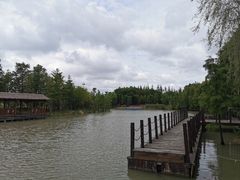 -上海长兴岛郊野公园