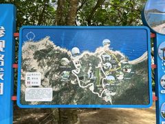 -广东惠东海龟国家级自然保护区