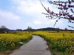 -西海岸生态观光园
