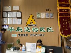-半岛宠物医院24小时·内窥镜·牙科·碎石中心(府城大道店)