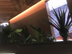 -大树餐厅(益田假日店)