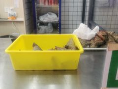 -金太粽(上海弄堂第一粽店)