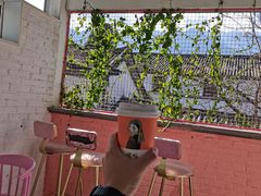 -喵屿·大理花园猫咖