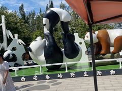 -西安秦岭野生动物园