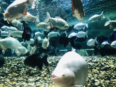 -成都浩海立方海洋公园