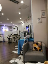 -巴黎拉斐派瑞美发沙龙