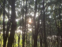 -同里国家湿地公园