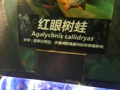 -萌宠奇缘