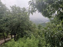 -北京十三陵国家森林公园蟒山景区