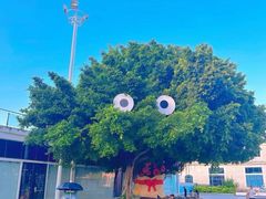 -巨鹏飞梦幻海岸