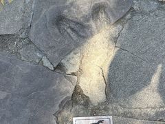 -普陀宗乘之庙