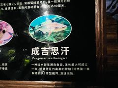 -江和美海洋公园