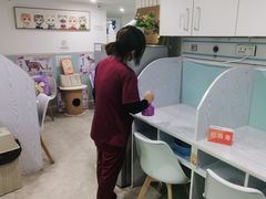 -纳吉亚猫专科动物医院·北北分院