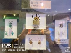 -上海昆虫博物馆