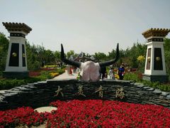 -武清南湖绿博园