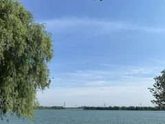 -漕湖湿地公园