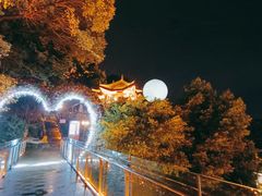 -巴倒烫陆派火锅山庄(南山总店)