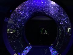 -成都浩海立方海洋公园