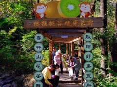 -大岭沟猕猴桃谷风景区