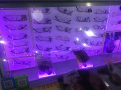 -提一眼镜·蔡司·依视路(小寨店)