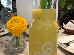 -gaga(深圳福田星河COCO Park店)