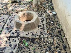 -苏州丝绸博物馆