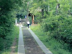 -青龙山国家森林公园