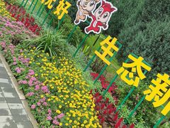 -大兴滨河森林公园