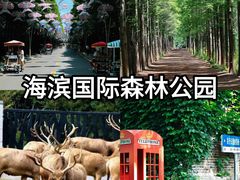 -日照灯塔风景区