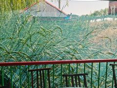 -巩本明鱼屋子