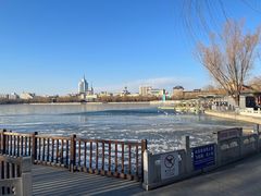 -莲花池公园