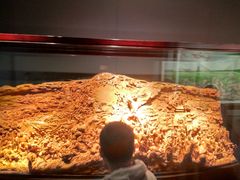 -上海市龙华烈士陵园