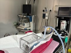 -爱侣宠医·鹦鹉专科·小型哺乳类·异宠专科(灵石路店)