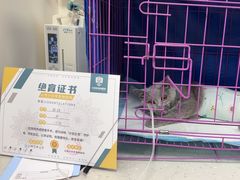-小伙伴宠物医院•急重症转诊中心·老年专科·犬猫全科(北大街总院)