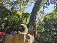 -七仙岭温泉国家森林公园