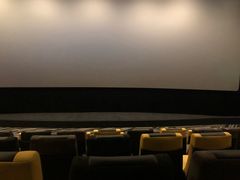 放映厅-百美汇影城(LUXE嘉里中心店)