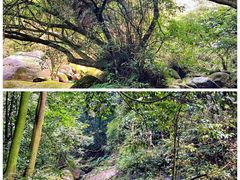 -赤水丹霞旅游区·佛光岩
