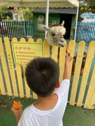 -萌宠亲子动物乐园(槐房万达店)