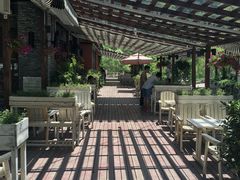 -Local泰莲庭(虹鳟鱼店)
